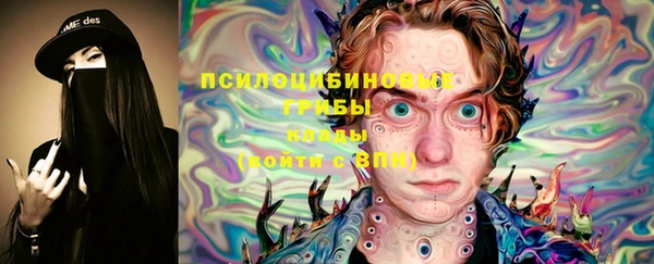 эйфоретик Дмитриев