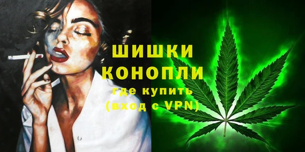 эйфоретик Дмитриев