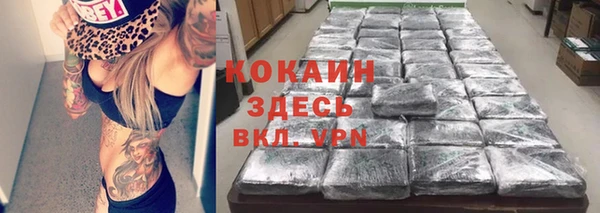 эйфоретик Дмитриев